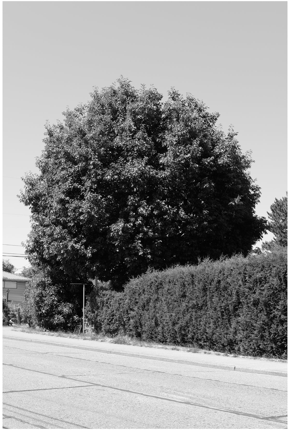 Jon Feinstein, Untitled (02) from the series, &quot;Breathers, After Alzheimer&#39;s&quot;