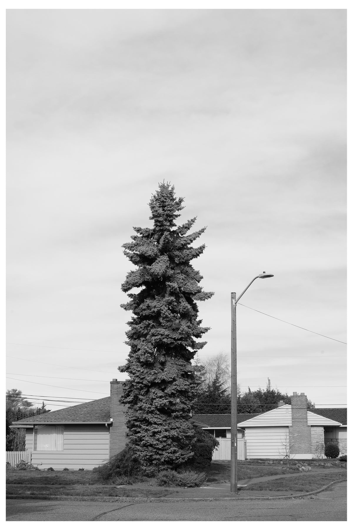 Jon Feinstein, Untitled (15) from the series, "Breathers, After Alzheimer's"