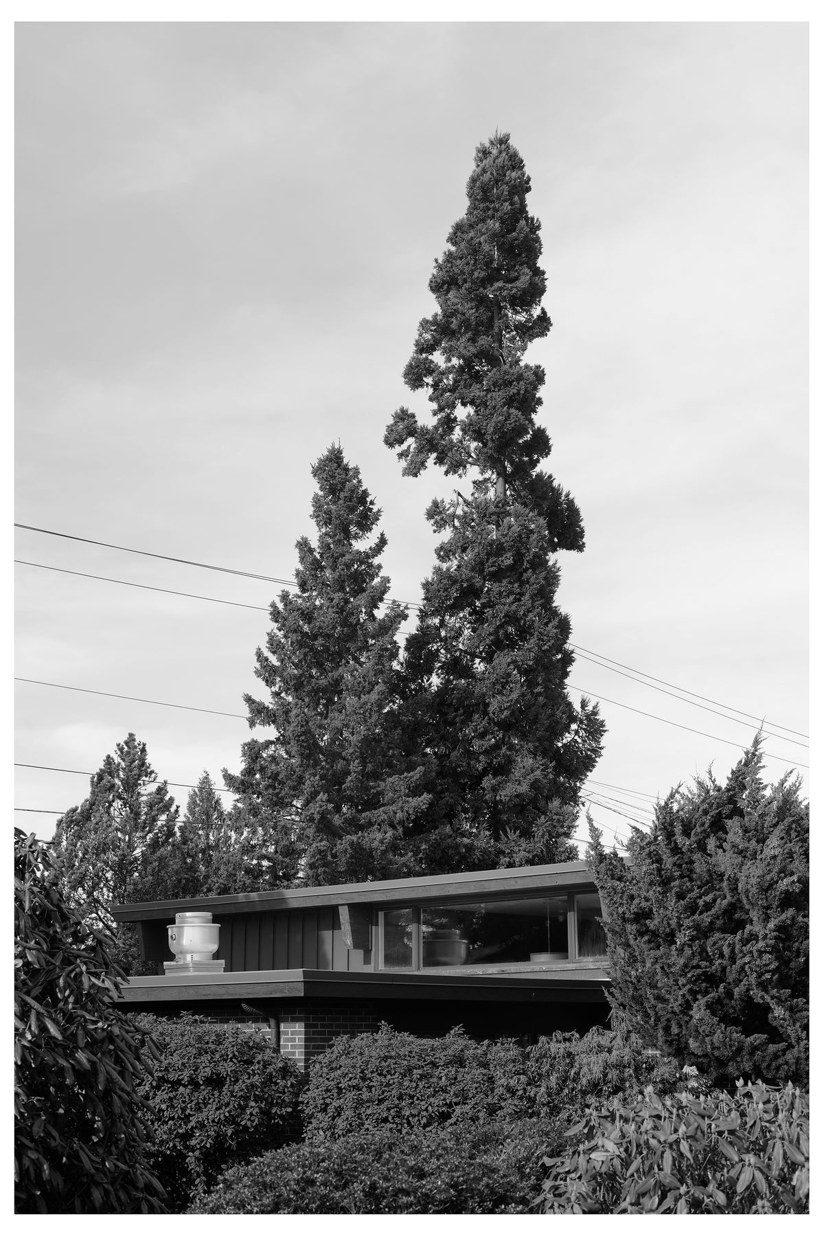 Jon Feinstein, Untitled (14) from the series, "Breathers, After Alzheimer's"