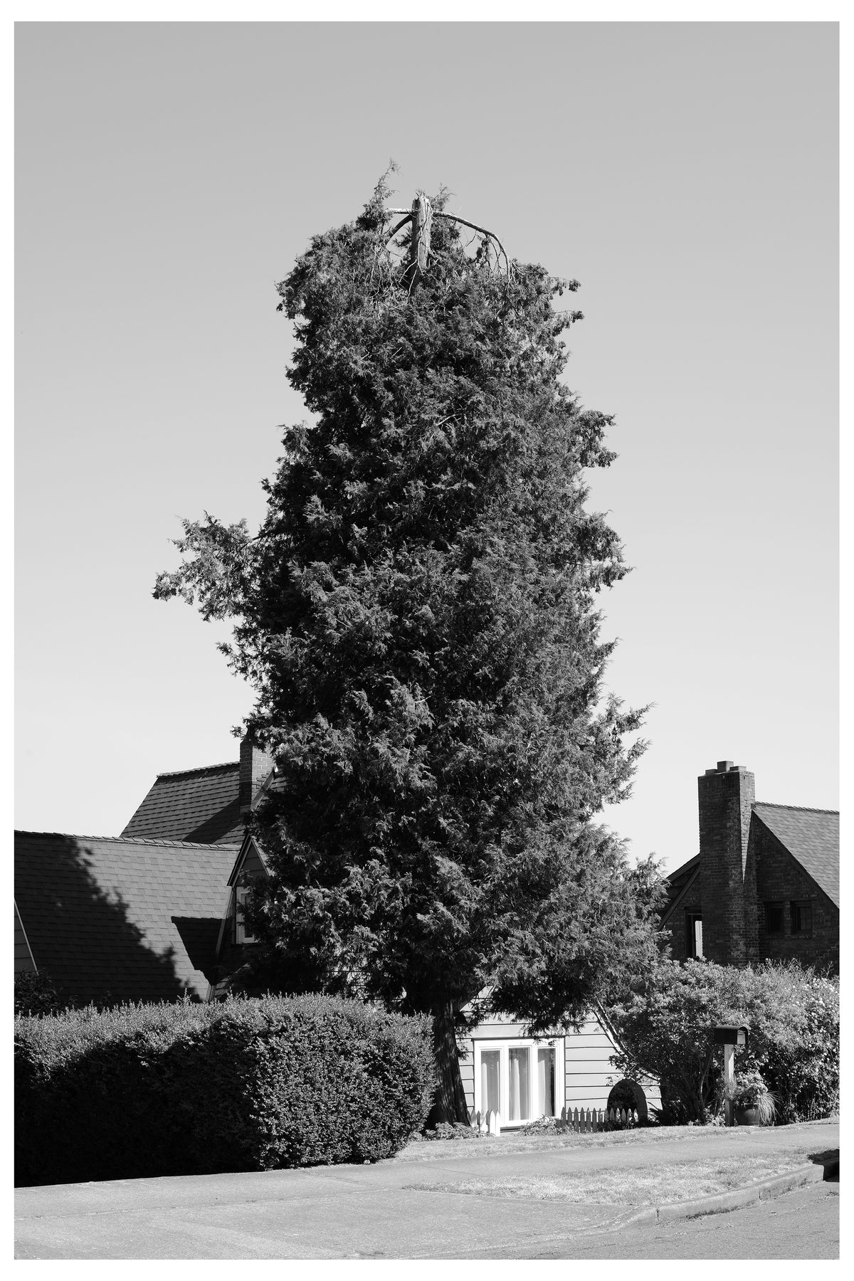 Jon Feinstein, Untitled (04) from the series, &quot;Breathers, After Alzheimer&#39;s&quot;