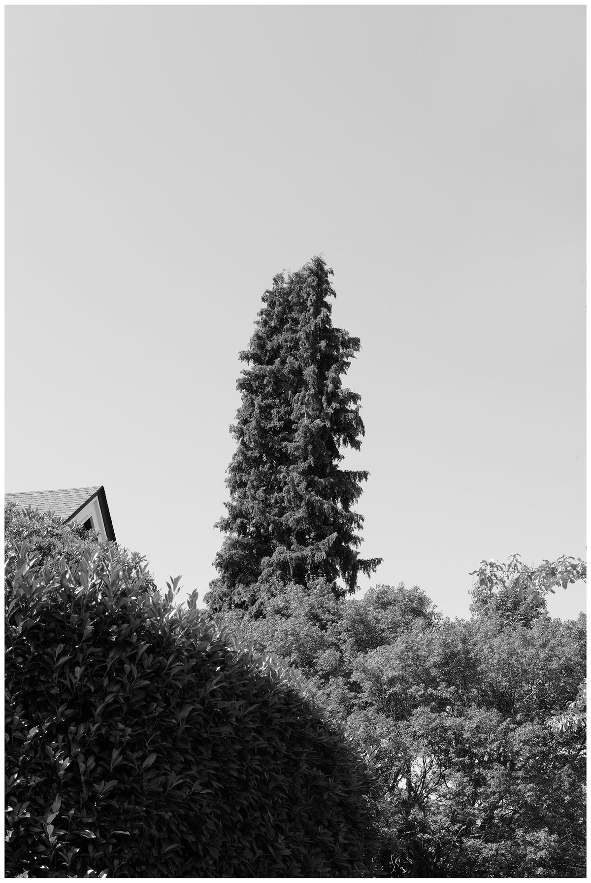 Jon Feinstein, Untitled (03) from the series, &quot;Breathers, After Alzheimer&#39;s&quot;