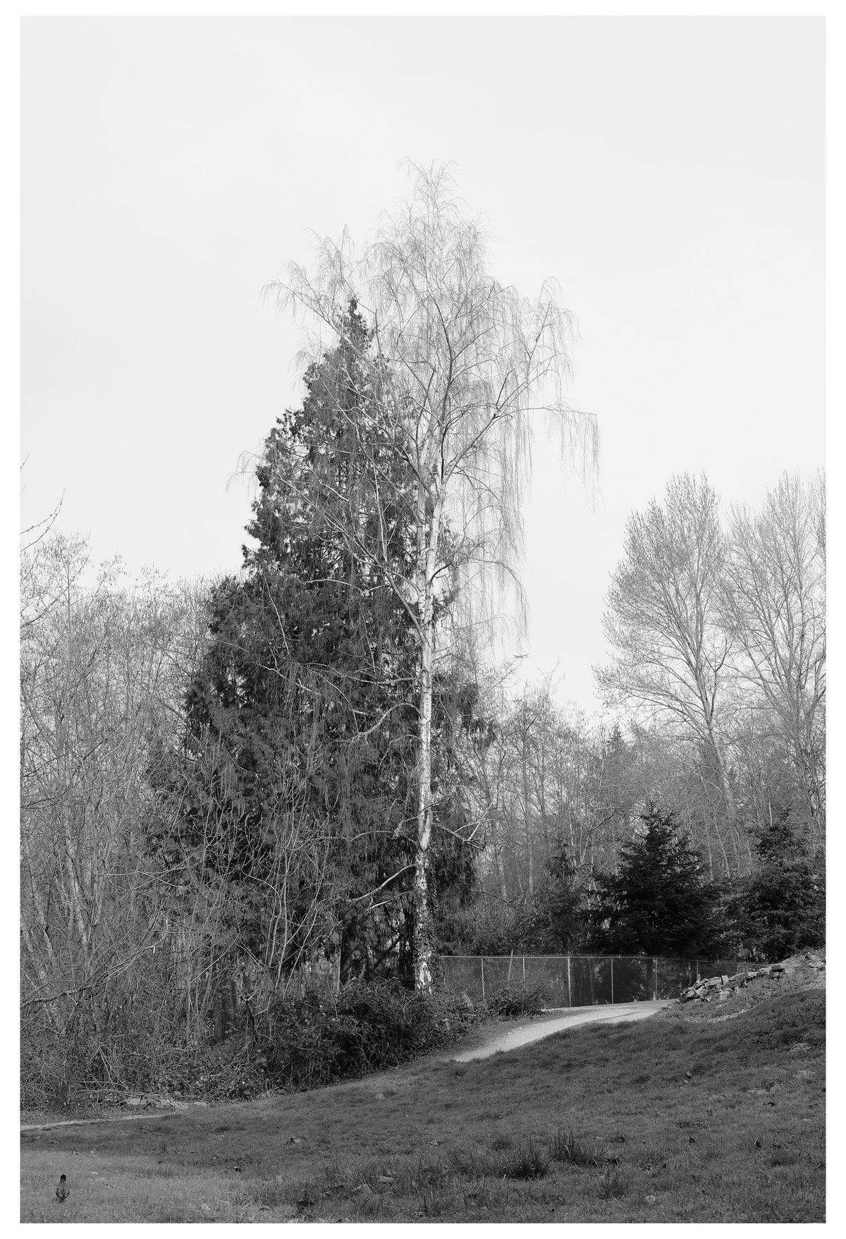 Jon Feinstein, Untitled (11) from the series, &quot;Breathers, After Alzheimer&#39;s&quot;