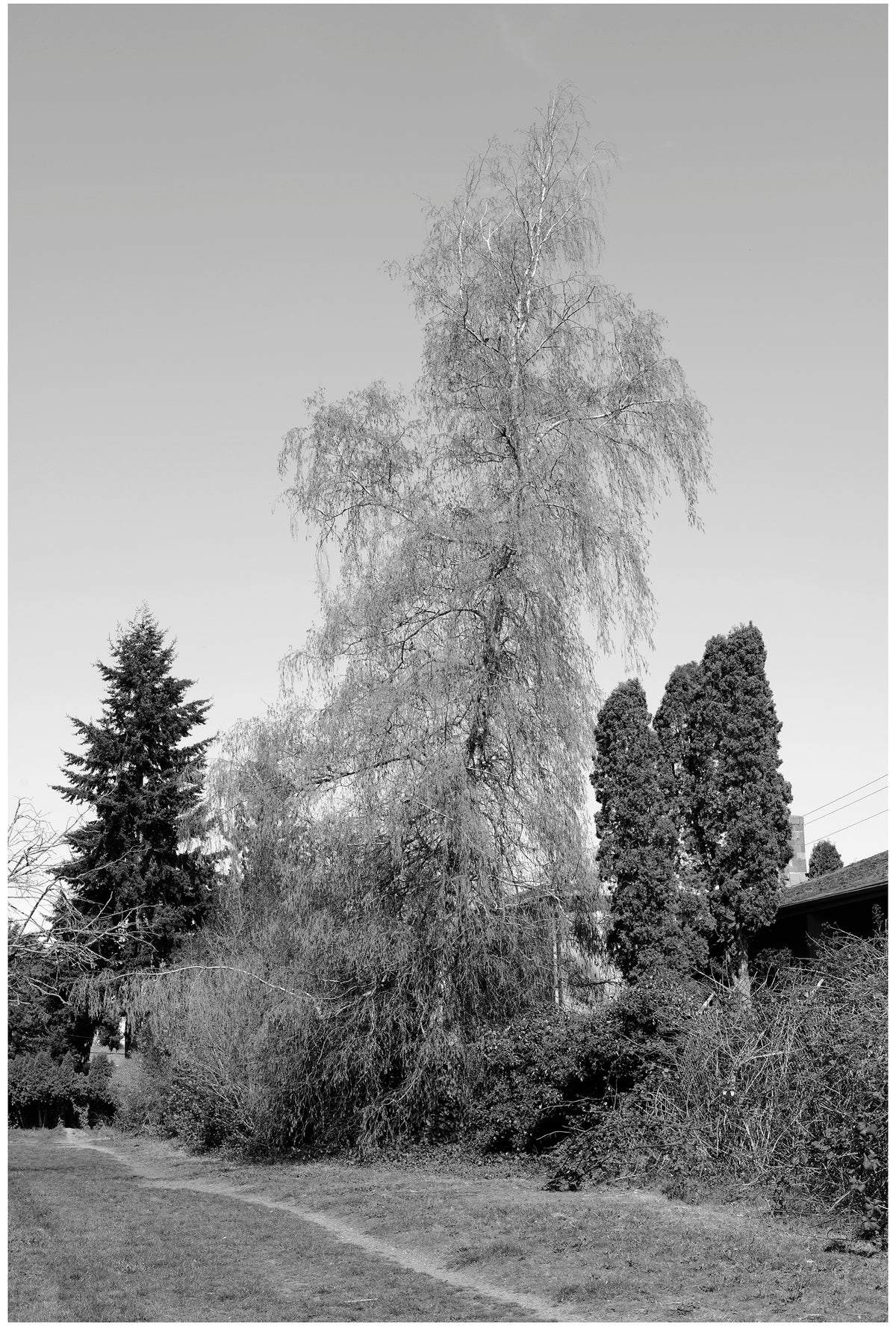 Jon Feinstein, Untitled (10) from the series, &quot;Breathers, After Alzheimer&#39;s&quot;