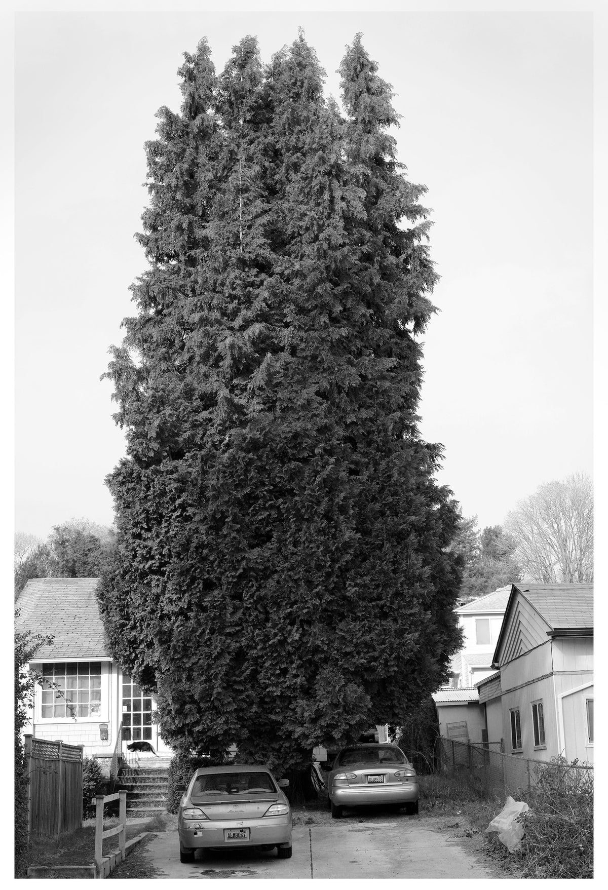 Jon Feinstein, Untitled (12) from the series, &quot;Breathers, After Alzheimer&#39;s&quot;