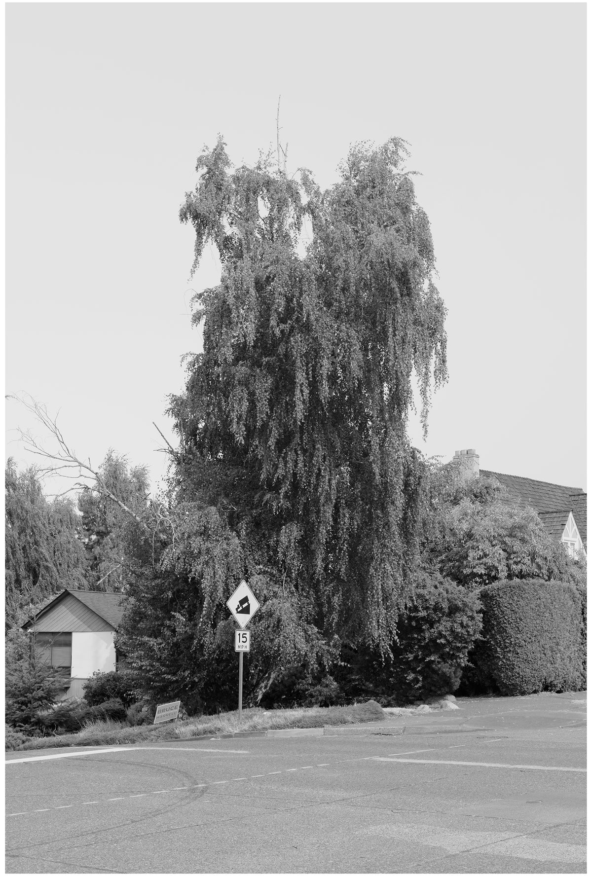 Jon Feinstein, Untitled (08) from the series, &quot;Breathers, After Alzheimer&#39;s&quot;