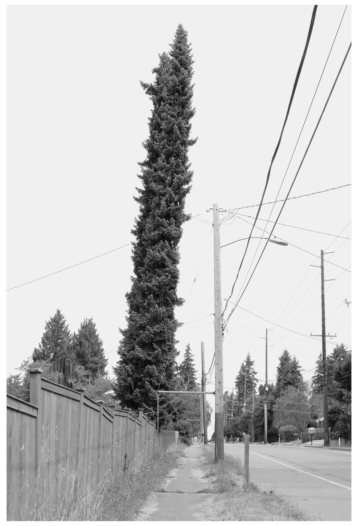 Jon Feinstein, Untitled (09) from the series, &quot;Breathers, After Alzheimer&#39;s&quot;