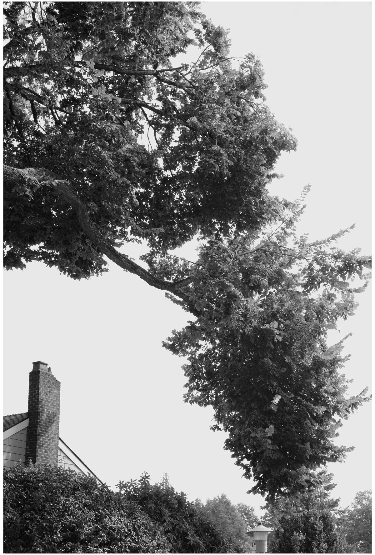 Jon Feinstein, Untitled (07) from the series, &quot;Breathers, After Alzheimer&#39;s&quot;