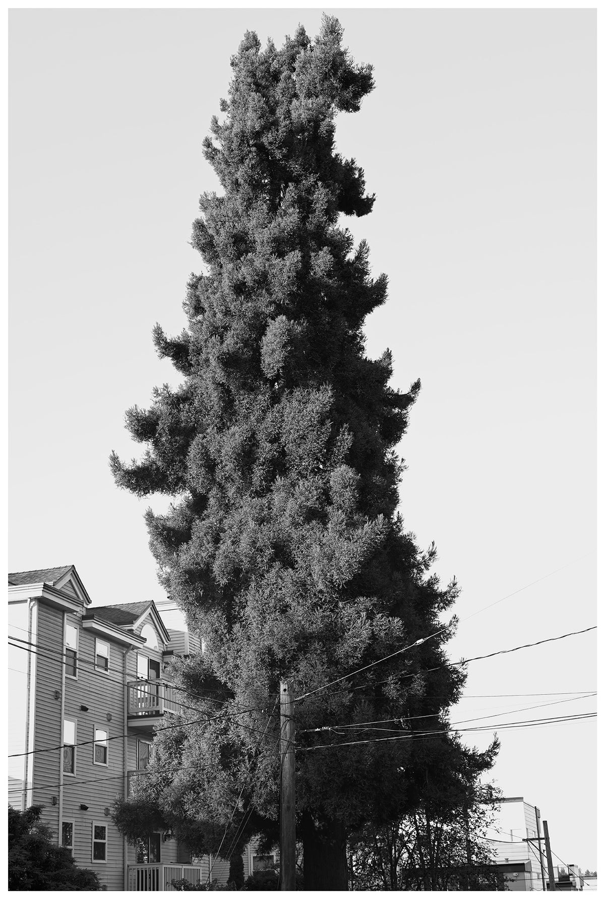 Jon Feinstein, Untitled (17) from the series, "Breathers, After Alzheimer's"