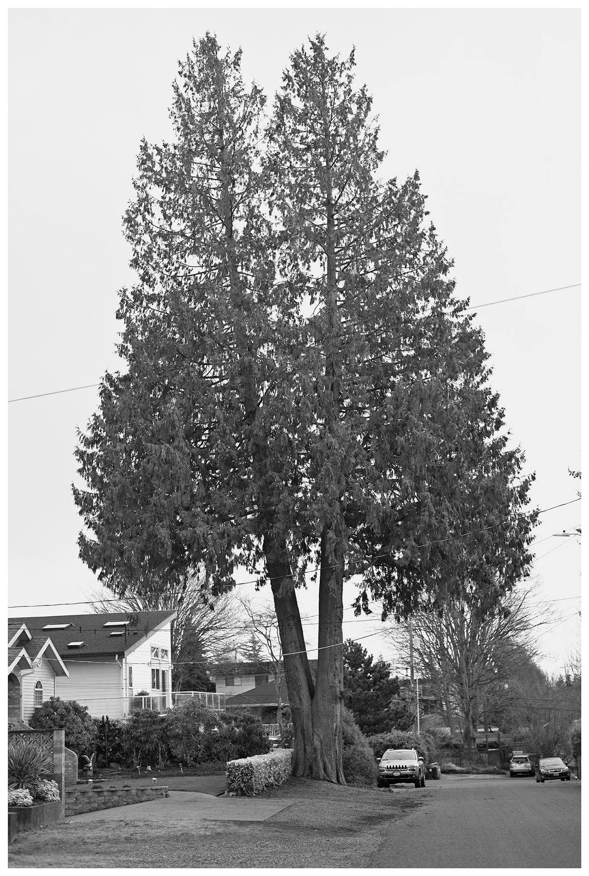 Jon Feinstein, Untitled (19) from the series, "Breathers, After Alzheimer's"