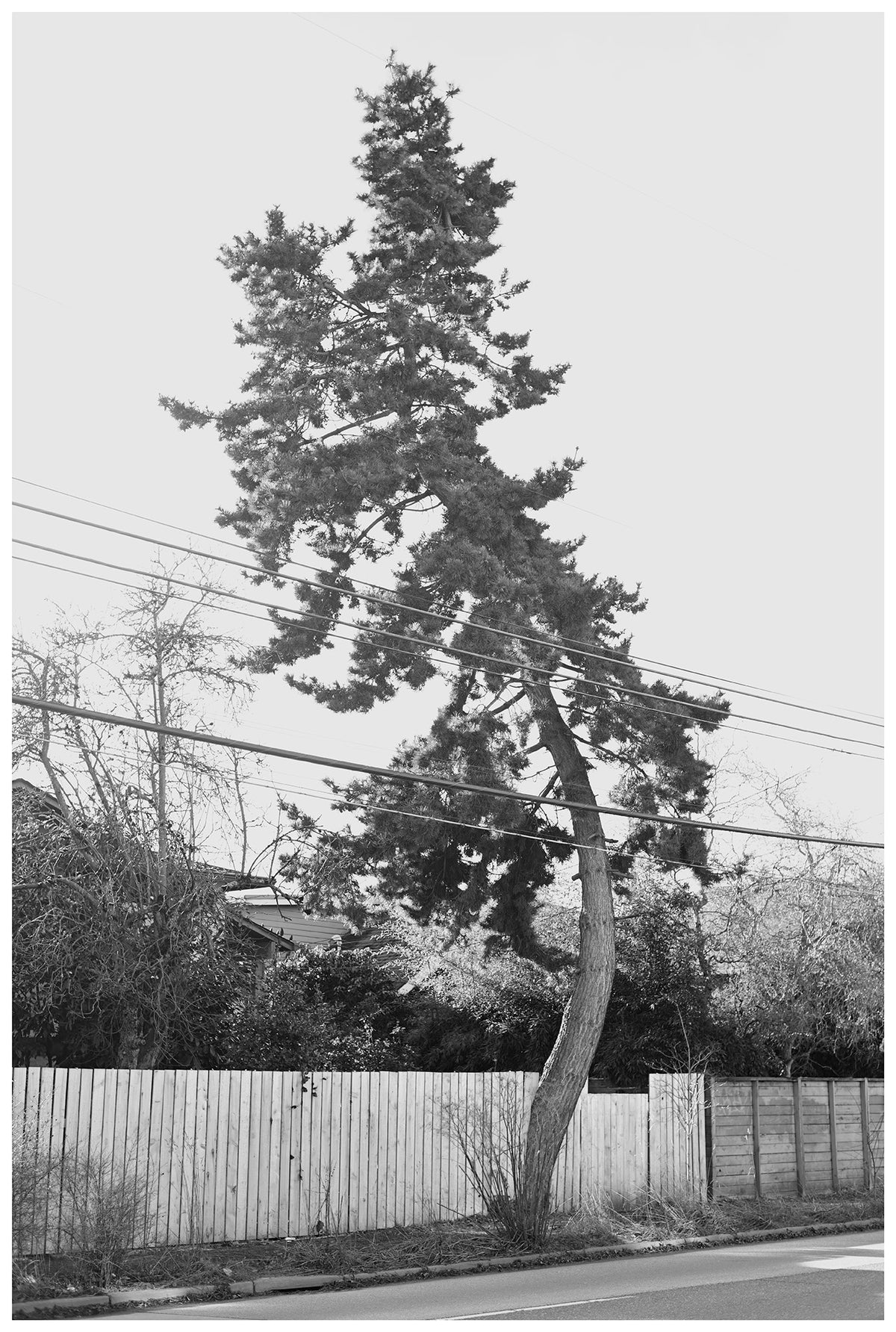 Jon Feinstein, Untitled (21) from the series, "Breathers, After Alzheimer's"