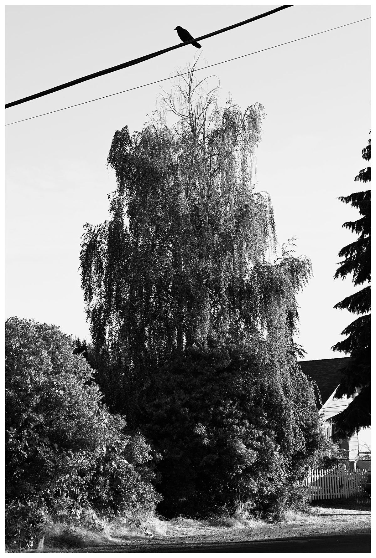 Jon Feinstein, Untitled (16) from the series, "Breathers, After Alzheimer's"