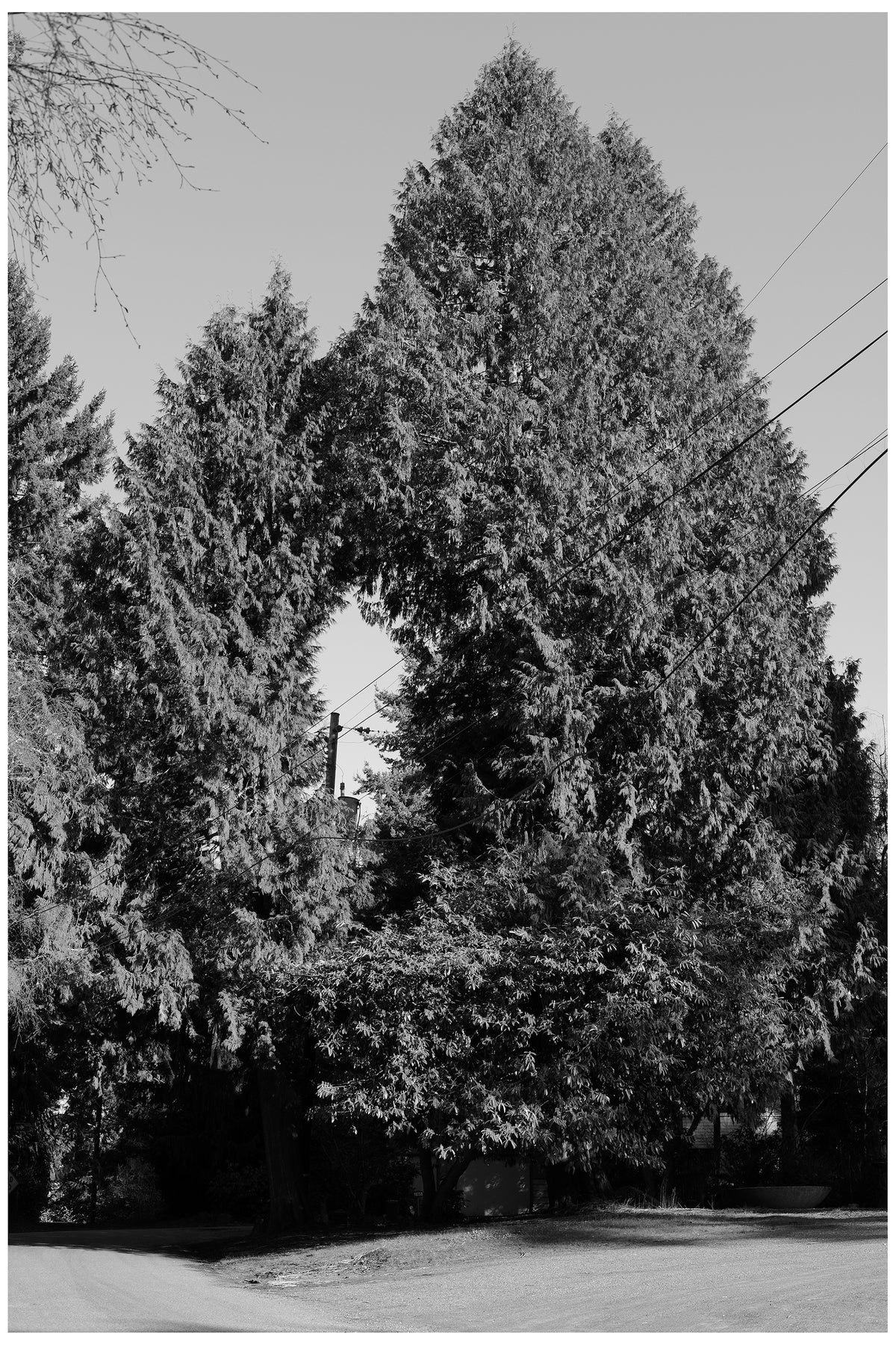 Jon Feinstein, Untitled (13) from the series, "Breathers, After Alzheimer's"