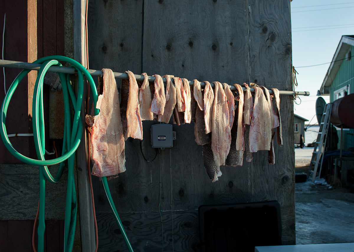 Tara Champion, &quot;Drying Rack&quot;, 2016